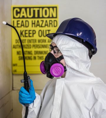 Lead Inspection Cost Insights — Cost of Lead Inspection